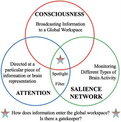 Hallucinations: A Functional Network Model of How Sensory Representations Become Selected for Conscious Awareness in Schizophrenia